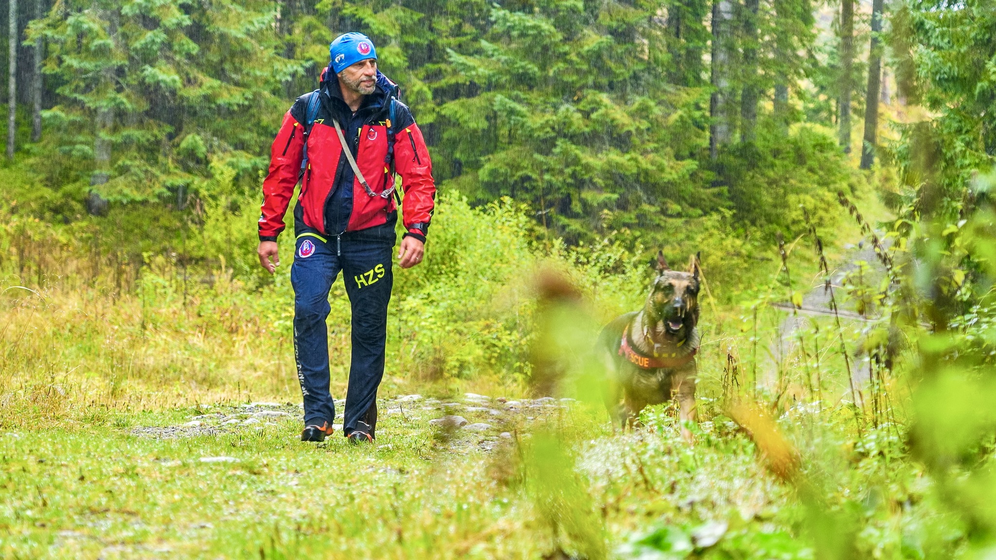 kynologicka rallye memorial stefana zavackeho 